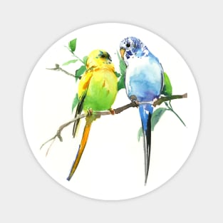 Love Budgies Magnet